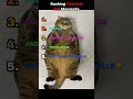 RANKING FUNNY CAT MOMENTS #cats #funny #funnycomedy