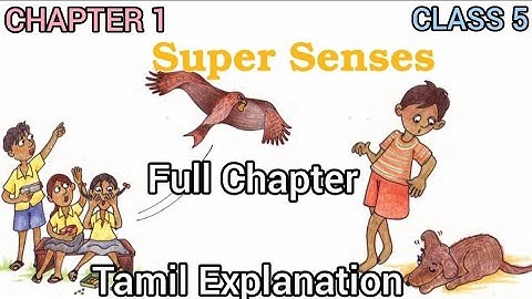 Class 5 | EVS | Chapter 1 |Super Senses | Full Chapter Explanation | Tamil Explanation | NCERT |CBSE