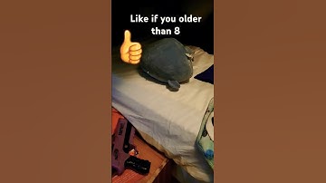 like if you older than 8 #dance #loop #duet #infiniteloop #endlessloop #thethings #slowloop #narrows