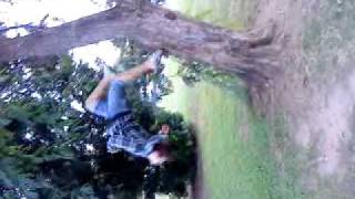 Matrix Backflip off Tree