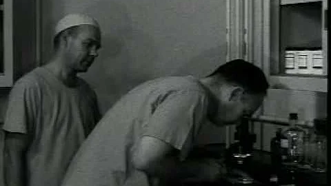 Ft. Detrick Biological Warfare Program 1950s  Mary...