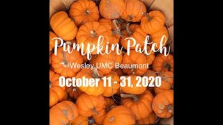 The Pumpkin Patch At Wesley Beaumont UMC