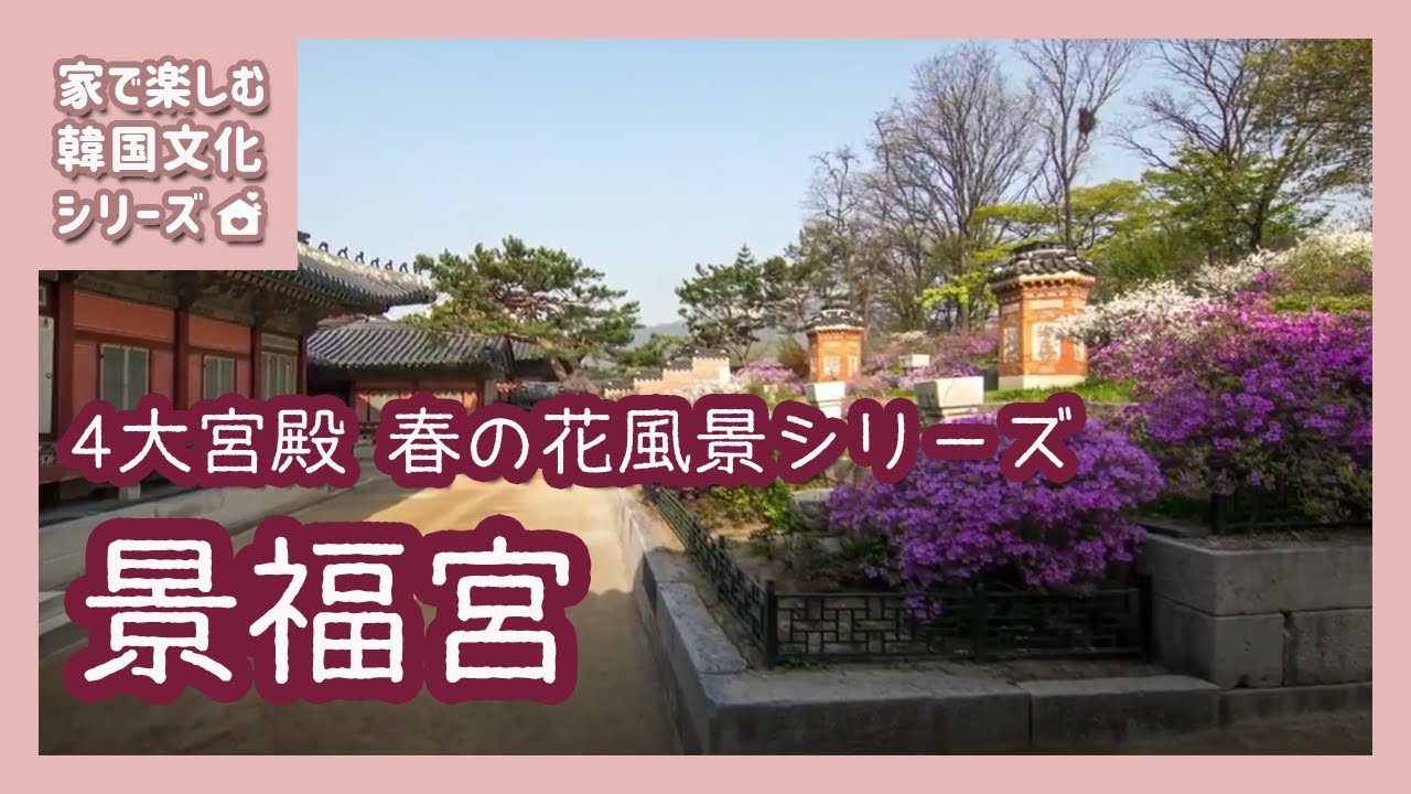4大宮殿春の花風景シリーズ 景福宮 Youtube