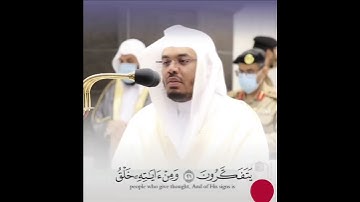 ياسر الدوسري تلاوة جميلة(سورة الروم اية ٢٠_٢٢)