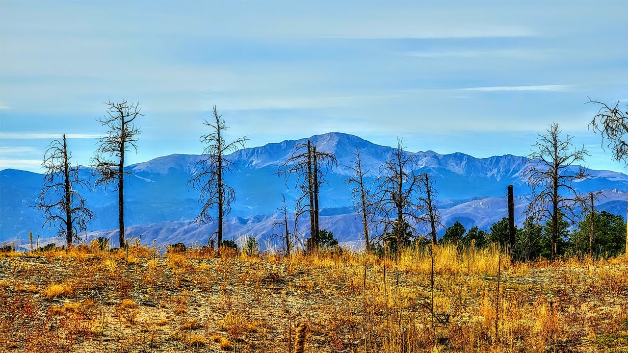 Haunted Black Forest Trail Hiking near Colorado Springs YouTube