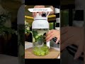 Fruit Juicer Cup Portable Electric Fruit Mixer St