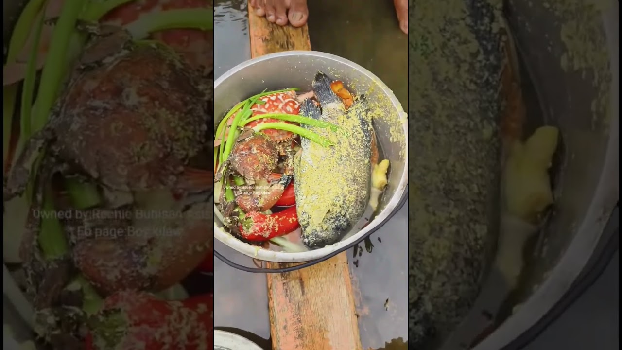 Freshly Harvested Clams Feast in the Middle of the Water