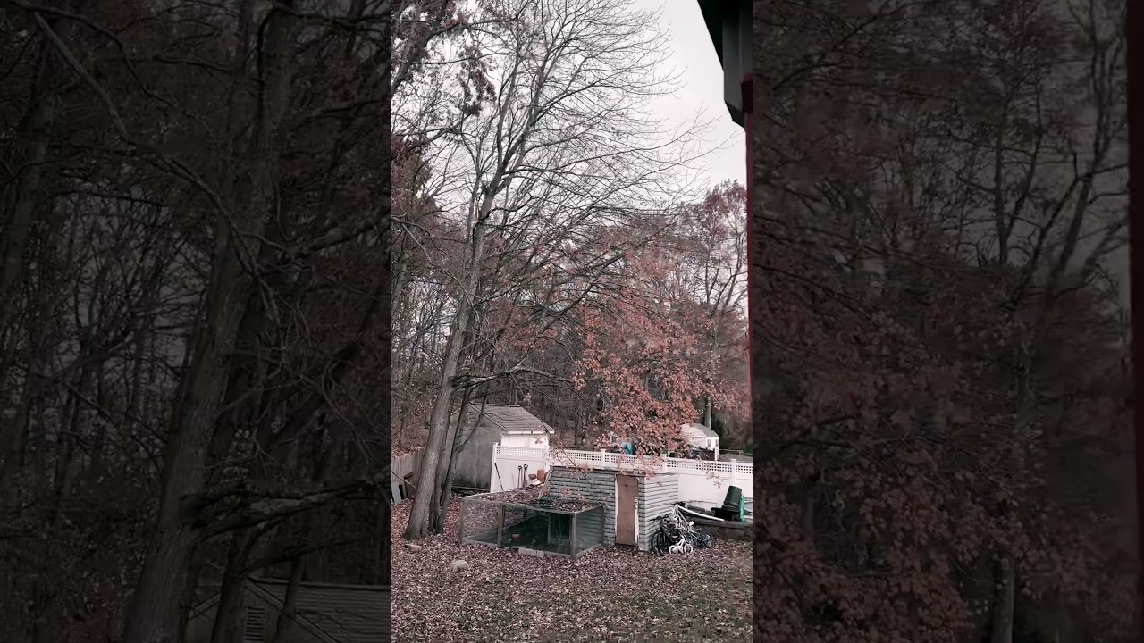 Beautiful Quran recitation with nice view || Jummah Mubarak #beautifulview #quran #recitation