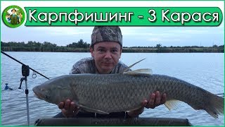 Ловля карпа на водоеме 3 Карася. Карпфишинг 2018 Ловля карпа на водоеме 3 Карася. Карпфишинг 2018