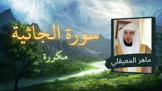 سورة الجاثية مكررة القارئ ماهر المعيقلي