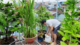 Restoring Our Rooftop Garden | Chickens & New Friends (Part 1)
