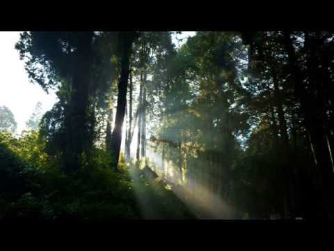 Hello Again - Cover pattexXx