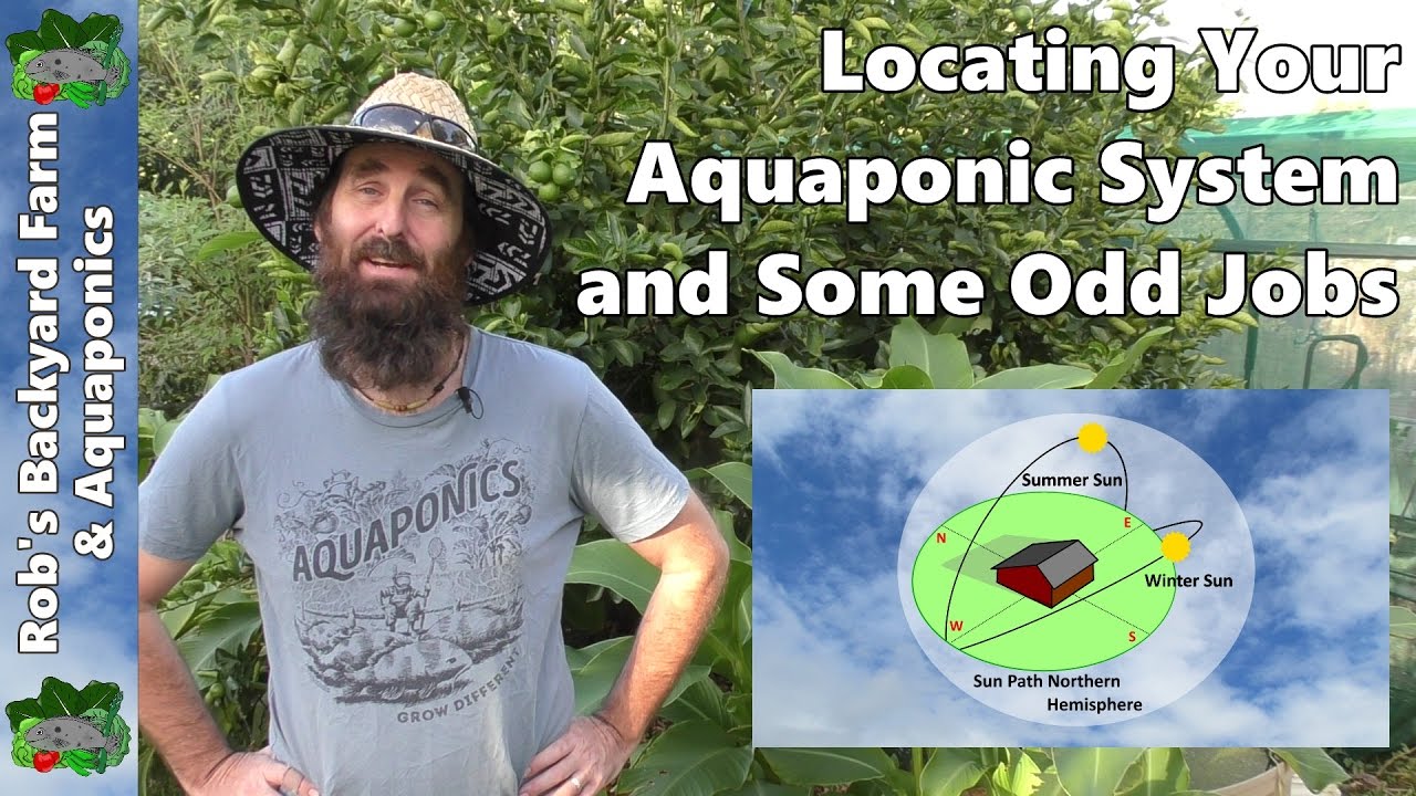 Positioning Your Aquaponic System Solar Orientation And Odd