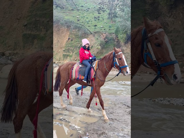 Prasastha horse riding in Jordan #dhanyanithyaprasastha #johnwesly #blessiewesly #prasasthajoanna