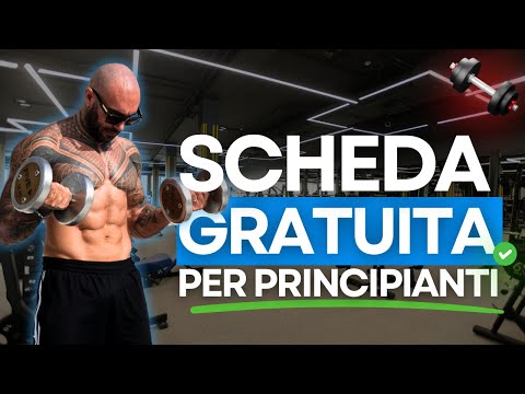 FREE FULL BODY CARD (exercises, sets, repetitions, mistakes to avoid, solutions, etc..)