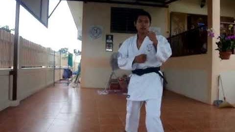 3rd Kyu Brown Belt Grading Pt 2