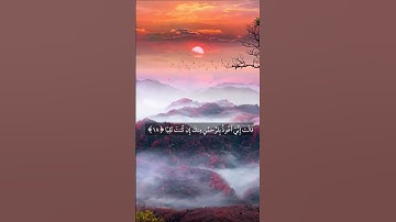 واذكر في الكتاب مريم 💚 تلاوات القرآن الكريم