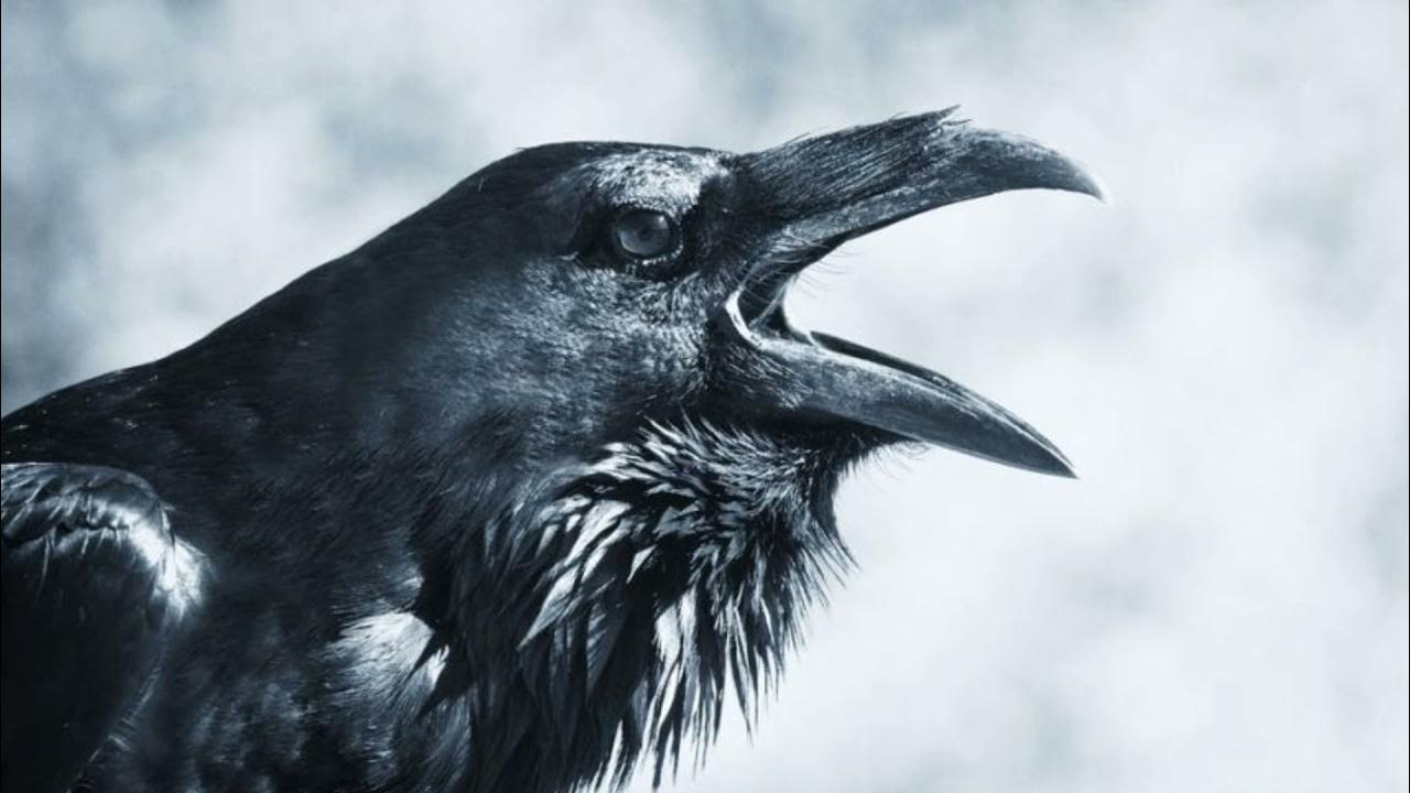 Налетела темная. Ночка темная. Черный ураган. Темное мистическое небо. Жук пандерус.
