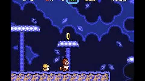 Custom Powerup: Tanuki Mario