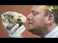 How to Recognize Ambergris? | WHALEZONE.TV S4E6