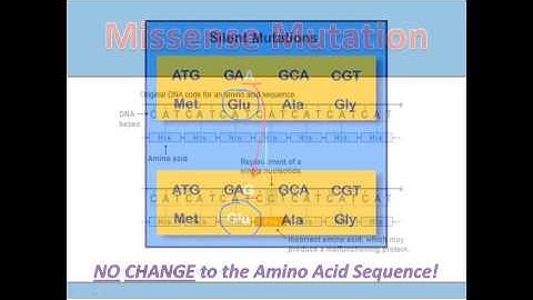 Substitution Mutations