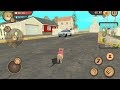 Cat Sim Online: Play with Cats Android Gameplay Ep 20