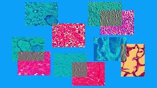 D4055B8B50B86B626BCBAA9B0E2099#1