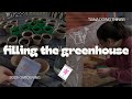 our garden | 2025 | step one : filling the greenhouse!