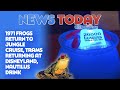 1971 Frogs Return to Jungle Cruise, Trams Returning at Disneyland, NAUTILUS DRINK - NewsToday 10/25