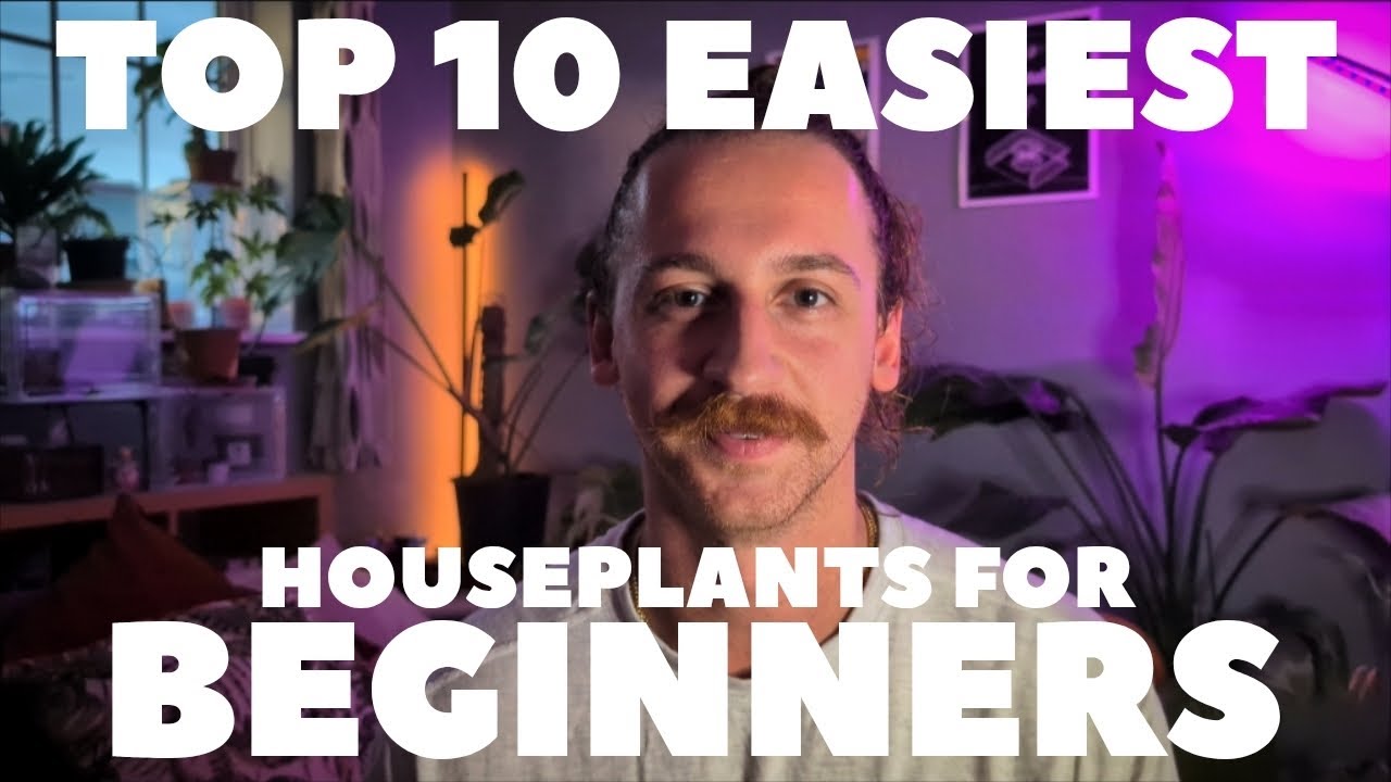 Top 10 EASIEST houseplants for BEGINNERS | That you can't KILL