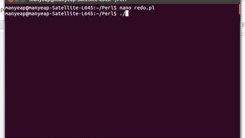 Perl Redo Statement Example