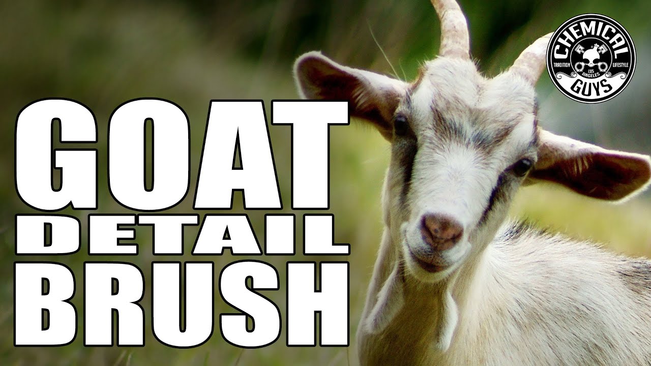 Best Parts Cleaning Brush Goat Brush Chemical Guys YouTube