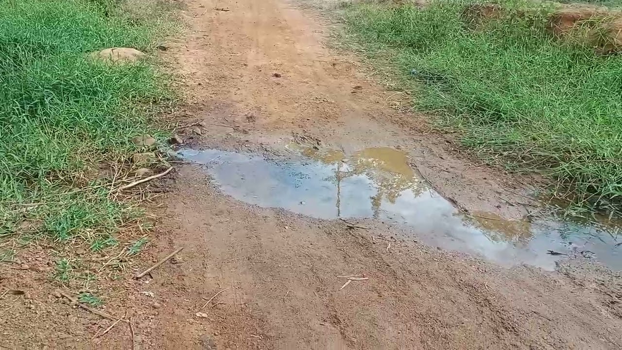Fazendo uma caminhada na comunidade quilombola no município de Vitória da conquista Bahia