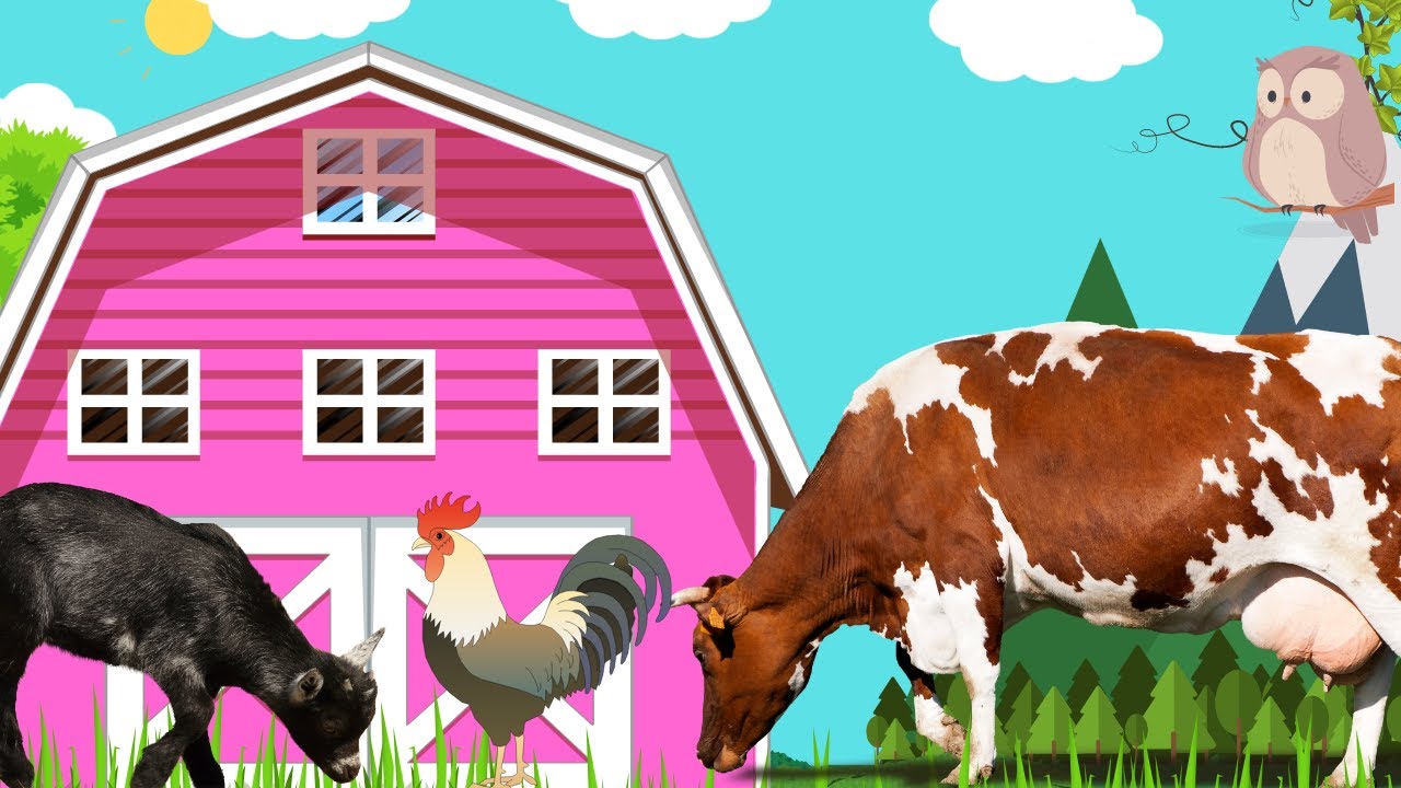 Serenade of the Countryside: Captivating Farm Animal Sounds.