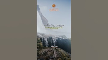 Muadh El Kholti - Extrait Surat Ar Rahman -ما تيسر من سورة الرحمان | معاذ الخلطي #quran #لايك