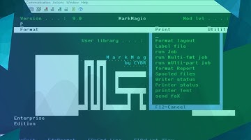 Printing a Format Layout with MarkMagic on the AS/400 Platform