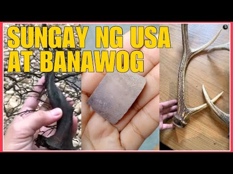 MGA TAGLAY NA GAMIT AT BISA NG BANAWOG AT NG SUNGAY NG USA MAINAM PALANG PANGONTRA | BHES TV