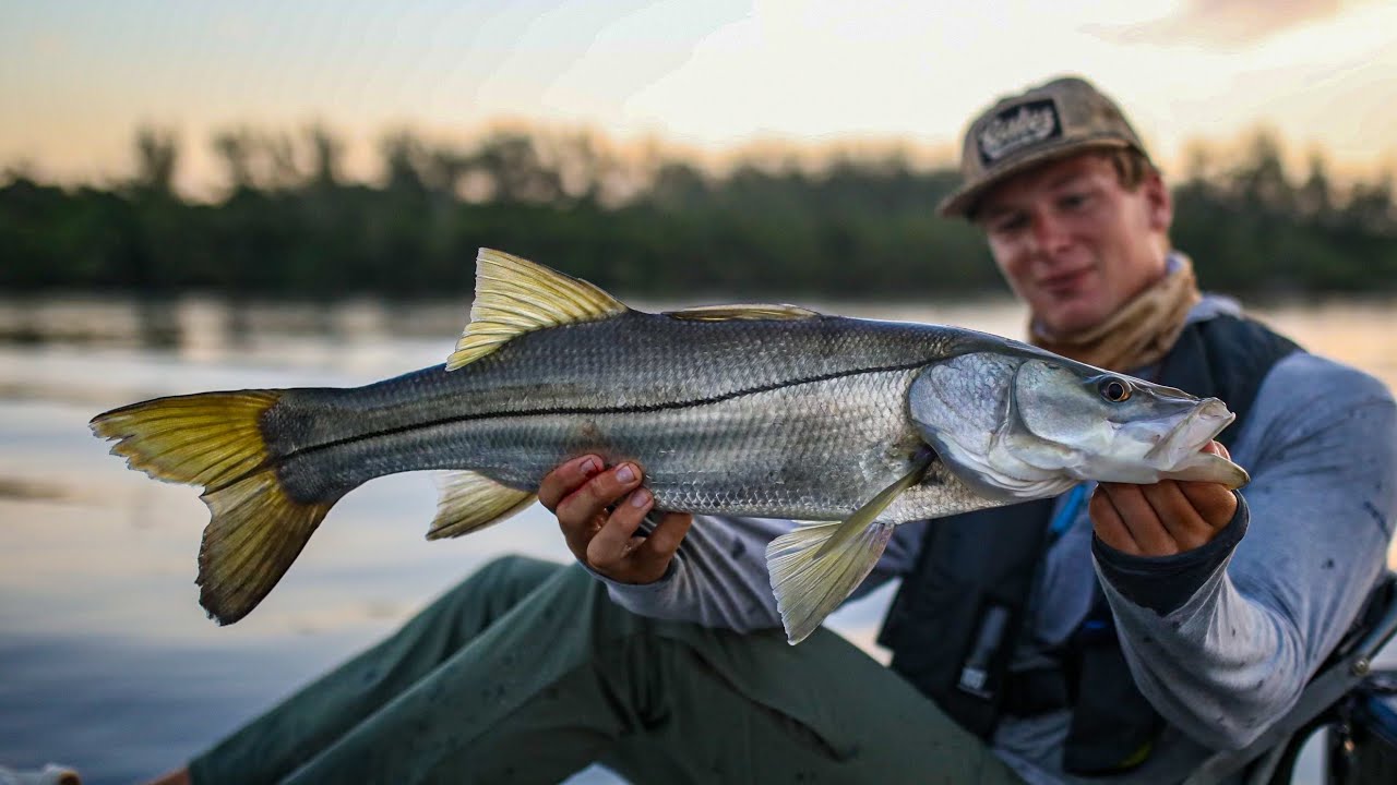 Летняя школа монстров Снука взрывает Topwater ВЕСЬ ДЕНЬ!