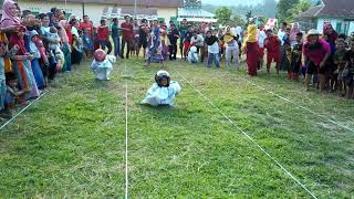 Serunya Lomba Lari Karung Pakai Helem HUT RI ke-74 di Desa Pompaniki Luwu Utara