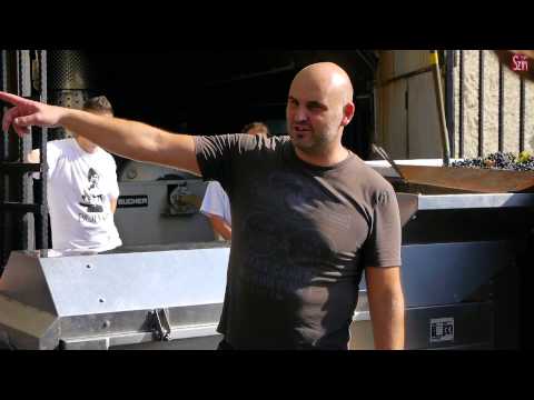 Nyílt nap Bolykinál