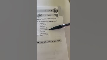 CC Cycle 1 Week 4 Science