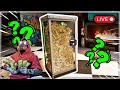 Cleaning Cash Until I Drop - GET IN HERE!!
