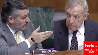 Ted Cruz Presses Dick Durbin On Claim About Trump White House