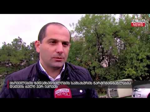 ცხოველების ზედამხედველობის სამსახურის წარმომადგენლებმა დათვის ბელი ვერ იპოვეს