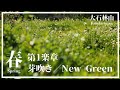 ASMUI 第1楽章 芽吹き New Green 日本語 6分 星が運んだ物語 The Story Of Our Sacred Place ASMUI 第1楽章 芽吹き New Green 日本語 6分 星が運んだ物語 The Story Of Our Sacred Place