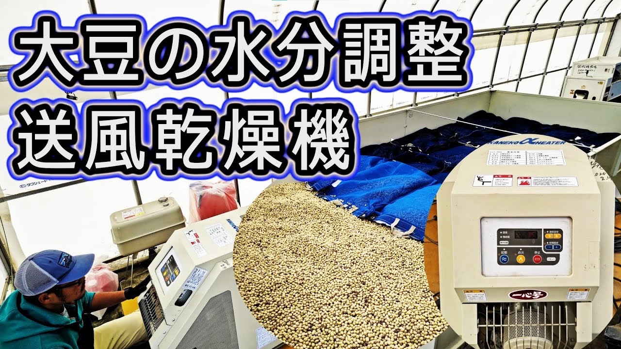 大豆の水分を調整します】金子農機 平面乾燥機 送風 大豆 水分調整 