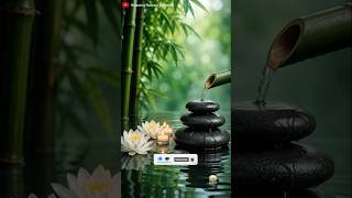 Relaxing Music &amp; Soothing Water Sounds 💦 Deep Sleep Music for Stress Relief, Meditation, Yoga &amp; Spa