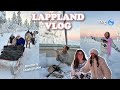 Nordlichter in lappland  husky tour  vlog  adorable caro