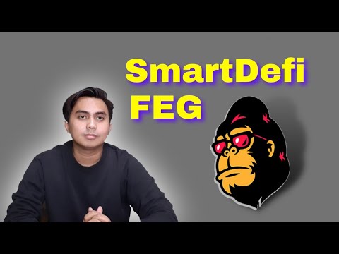 Обновление токена FEG — обсуждение SmartDefi и его потенциала