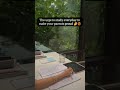 study🤌🥺 #explore #viral #success #aspirants #motivation #trending #shorts #studyadvice #study #ca